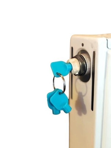 Bleed key plastic 3 pcs - –,